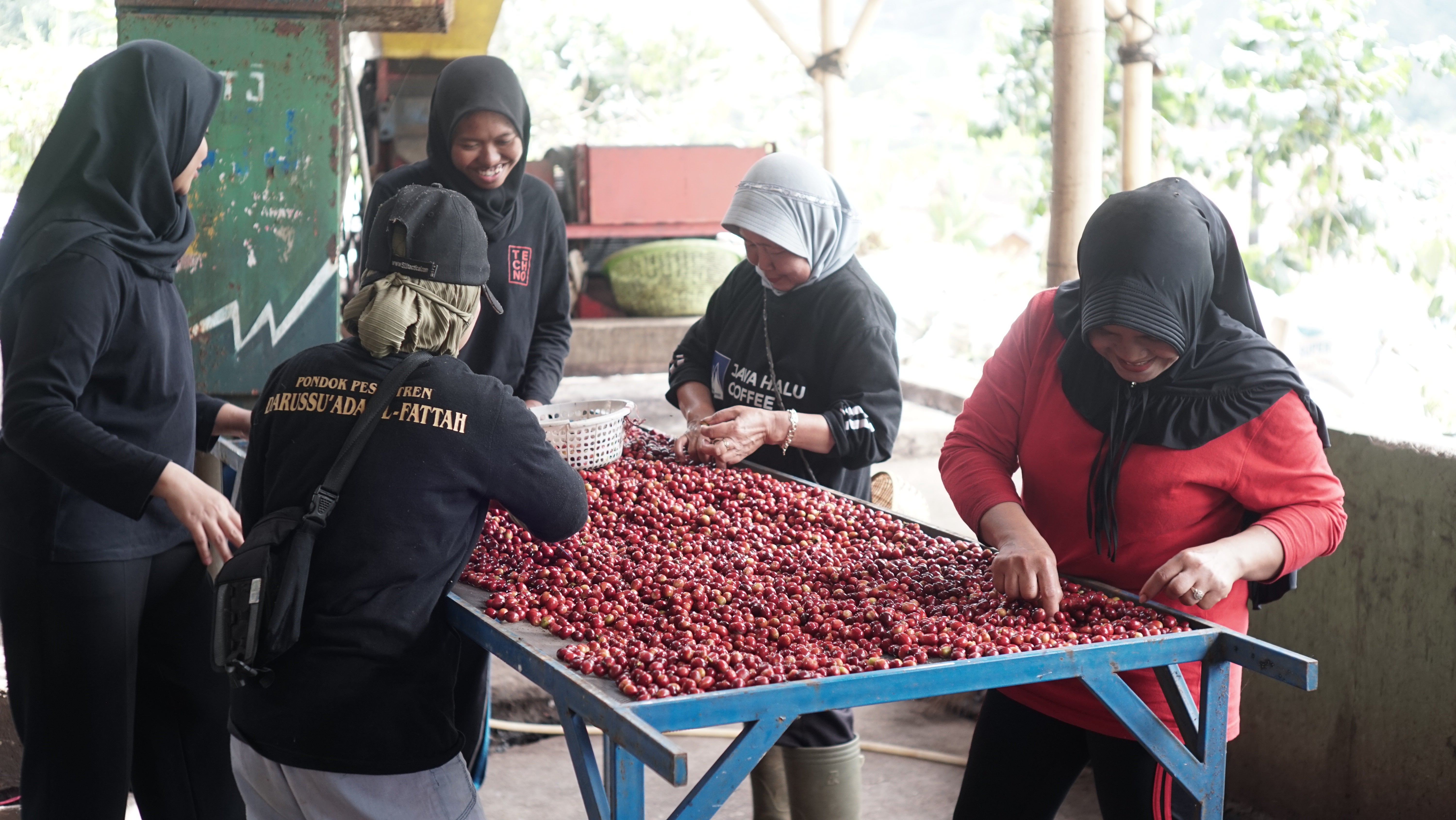 Collections – Skylark Coffee